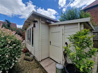 Picture 11